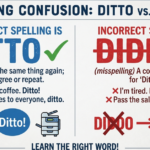 Diddo or Ditto Meaning: Which Spelling Is Correct?