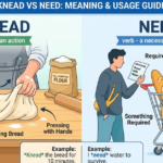 Knead vs Need: Meaning, Difference & Usage Guide