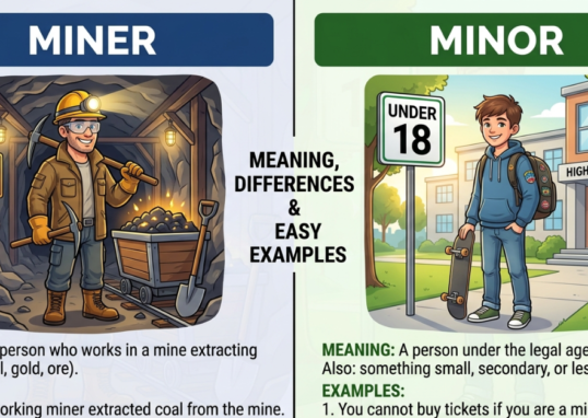 Miner vs Minor: Meaning, Differences & Easy Examples