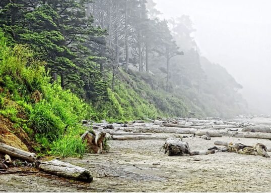 Pacific Northwest