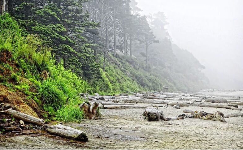 Pacific Northwest
