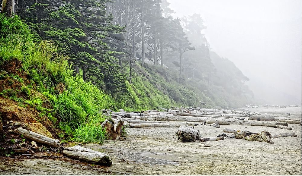 Pacific Northwest