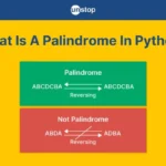 what is a palindrome