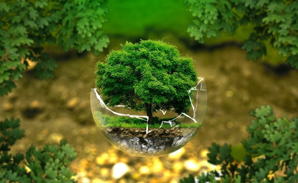 Building a Sustainable Future Through Environmental Expertise
