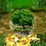 Building a Sustainable Future Through Environmental Expertise