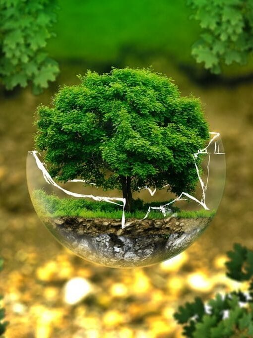 Building a Sustainable Future Through Environmental Expertise