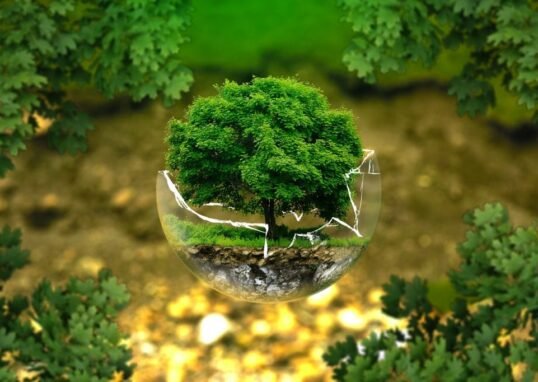 Building a Sustainable Future Through Environmental Expertise