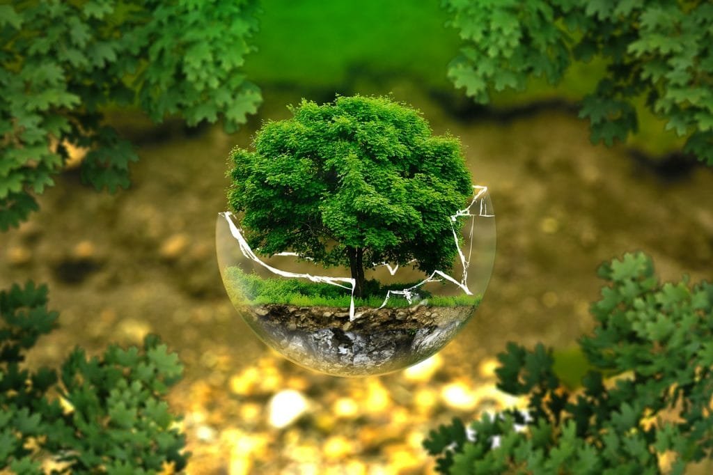 Building a Sustainable Future Through Environmental Expertise