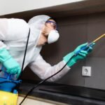 Termite Control