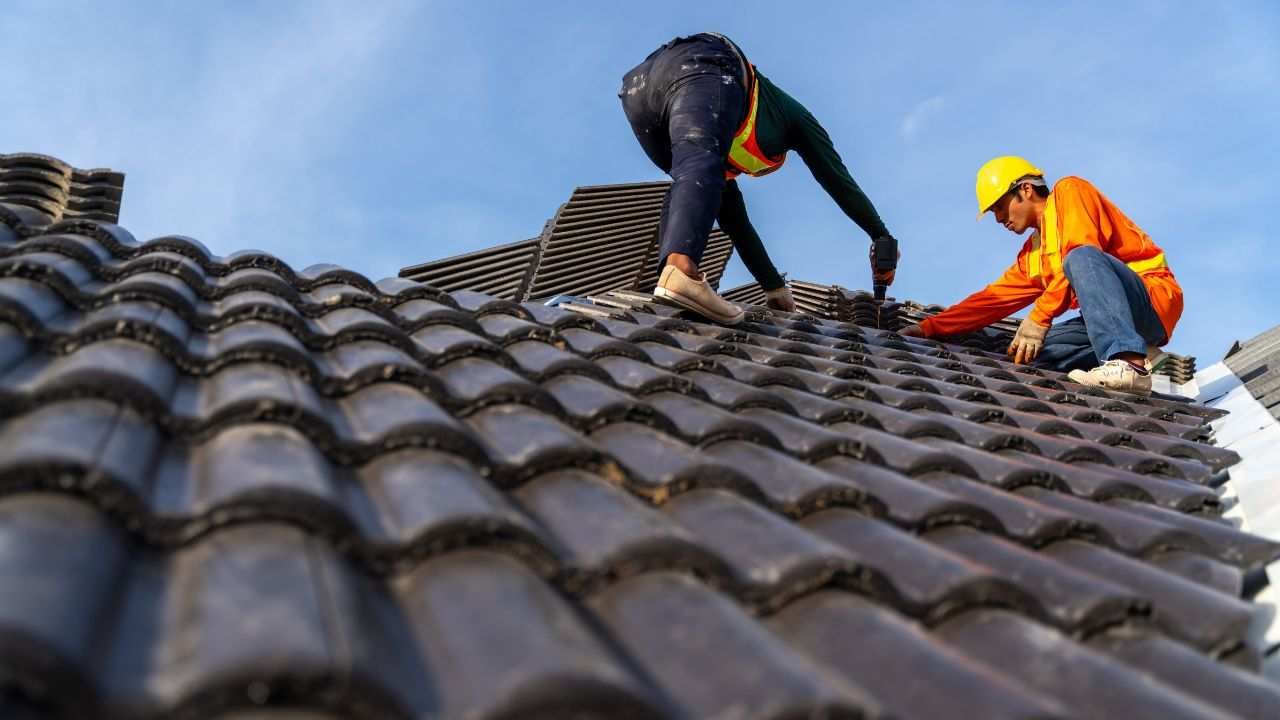 Roof Protection